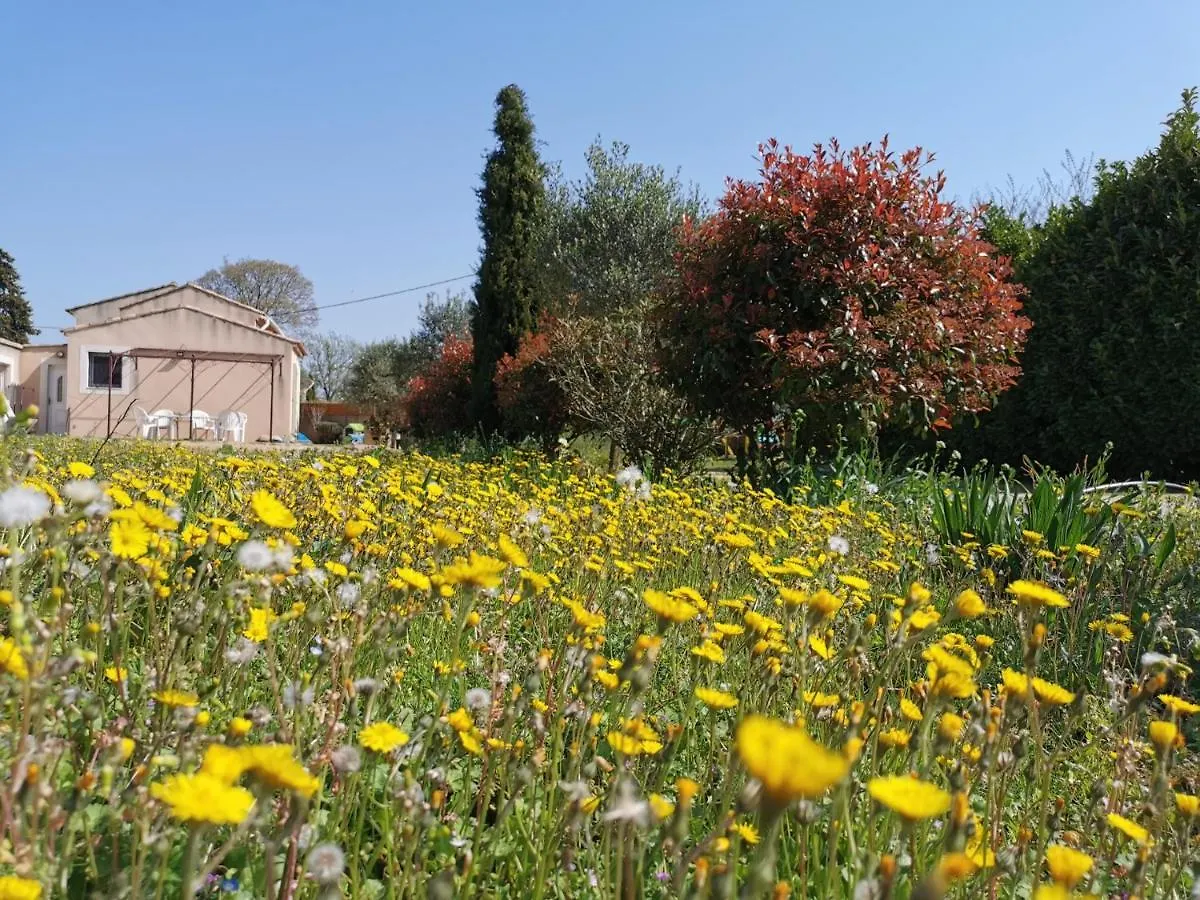 Maison De Vacances L'Hote Champetre Campagne Arlesienne Διαμέρισμα 0*, Αρλ Γαλλία